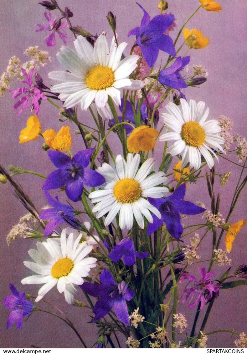 FLOWERS Vintage Postcard CPSM #PAR236.GB - Fleurs