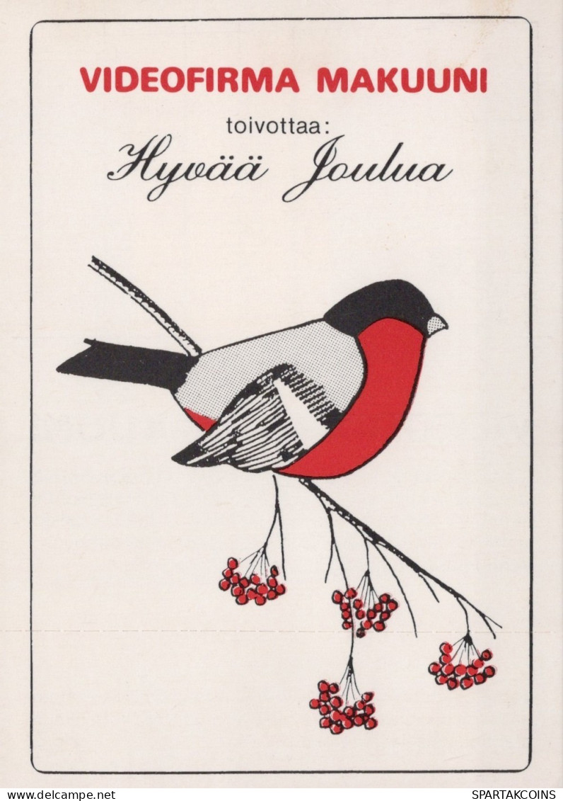 BIRD Animals Vintage Postcard CPSM #PAN036.GB - Oiseaux