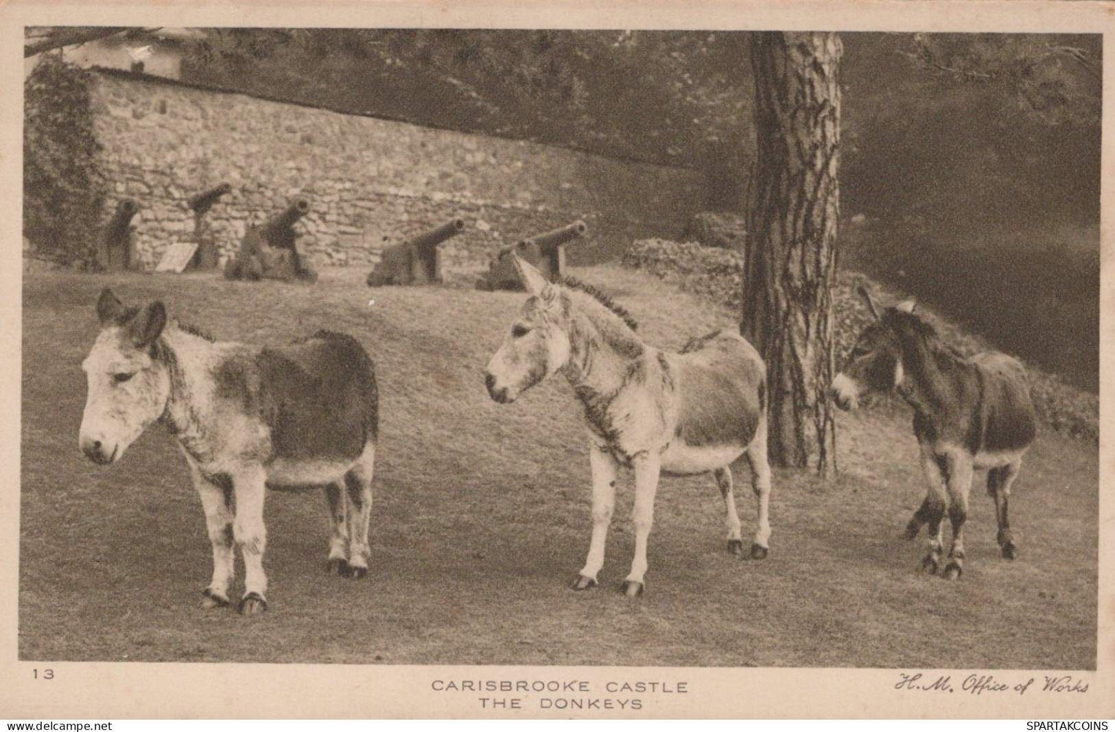ÂNE Animaux Vintage Antique CPA Carte Postale #PAA040.FR - Donkeys