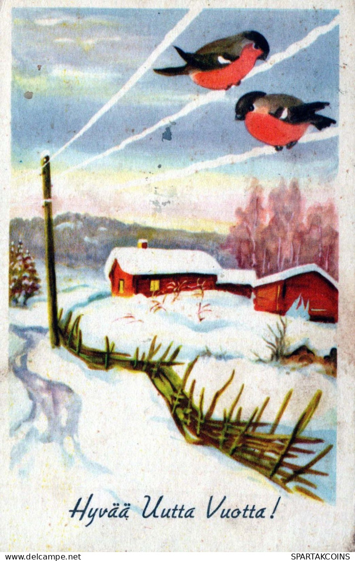Buon Anno Natale UCCELLO Vintage Cartolina CPSMPF #PKD340.IT - Neujahr