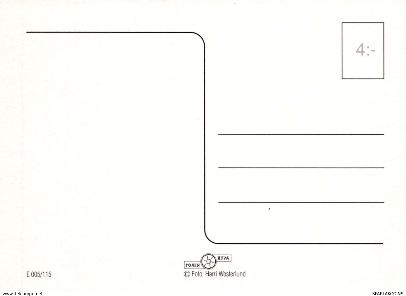 SCOIATTOLO Animale Vintage Cartolina CPSM #PBS708.IT - Sonstige & Ohne Zuordnung