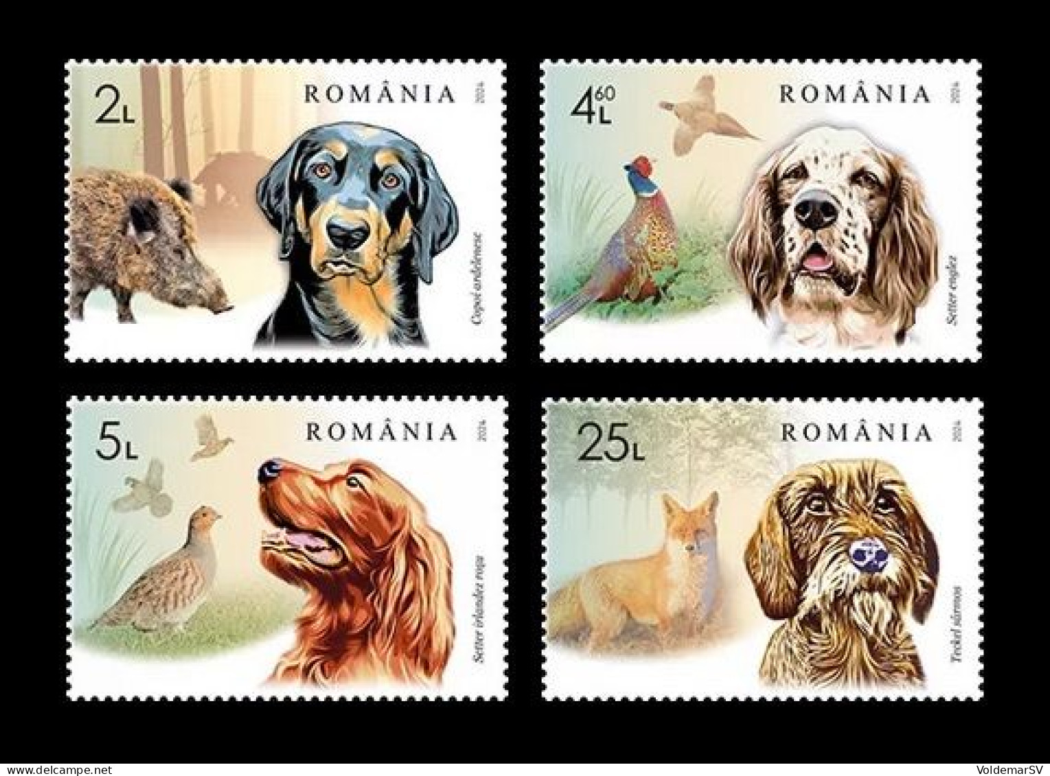 Romania 2024 Mih. 8320/23 Fauna. Hunting Dogs MNH ** - Unused Stamps