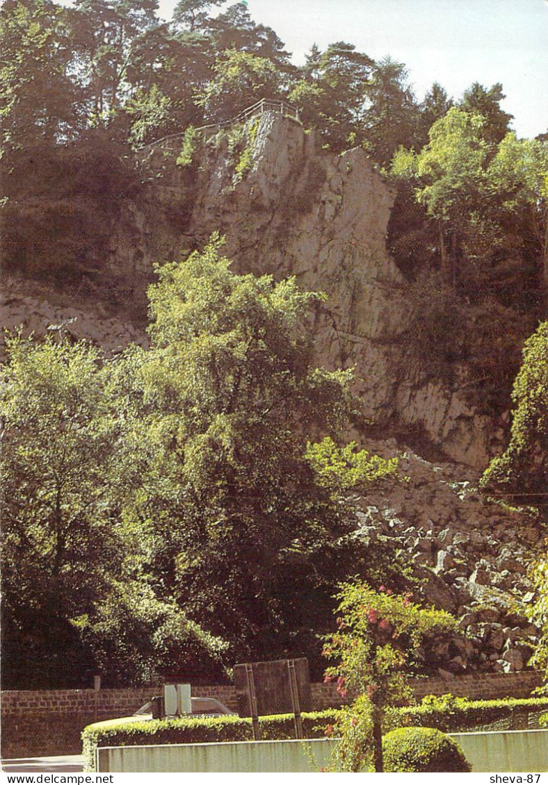 61 - Bagnoles De L'Orne - Le Roc Au Chien - Bagnoles De L'Orne