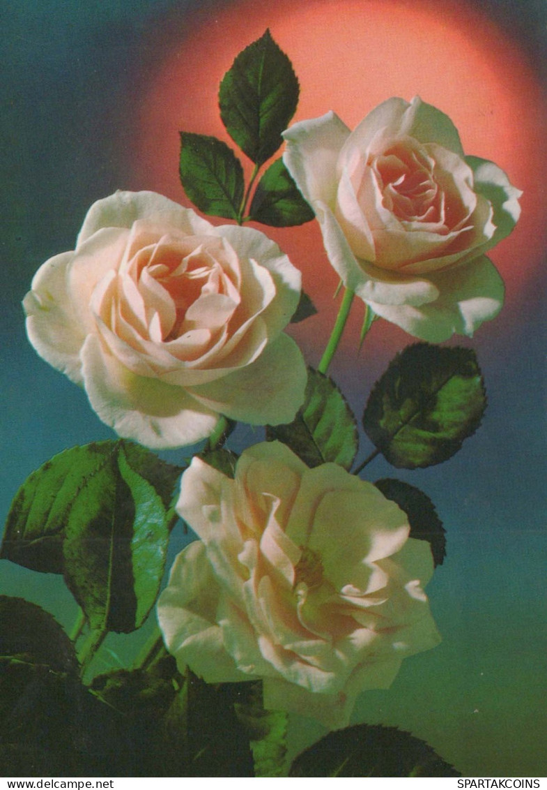 FIORI Vintage Cartolina CPSM #PAR901.IT - Fleurs
