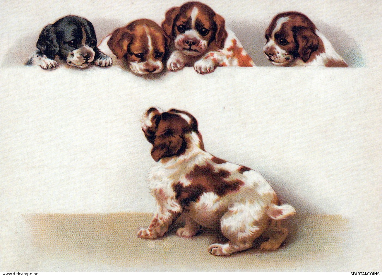 CANE Animale Vintage Cartolina CPSM #PAN537.IT - Hunde