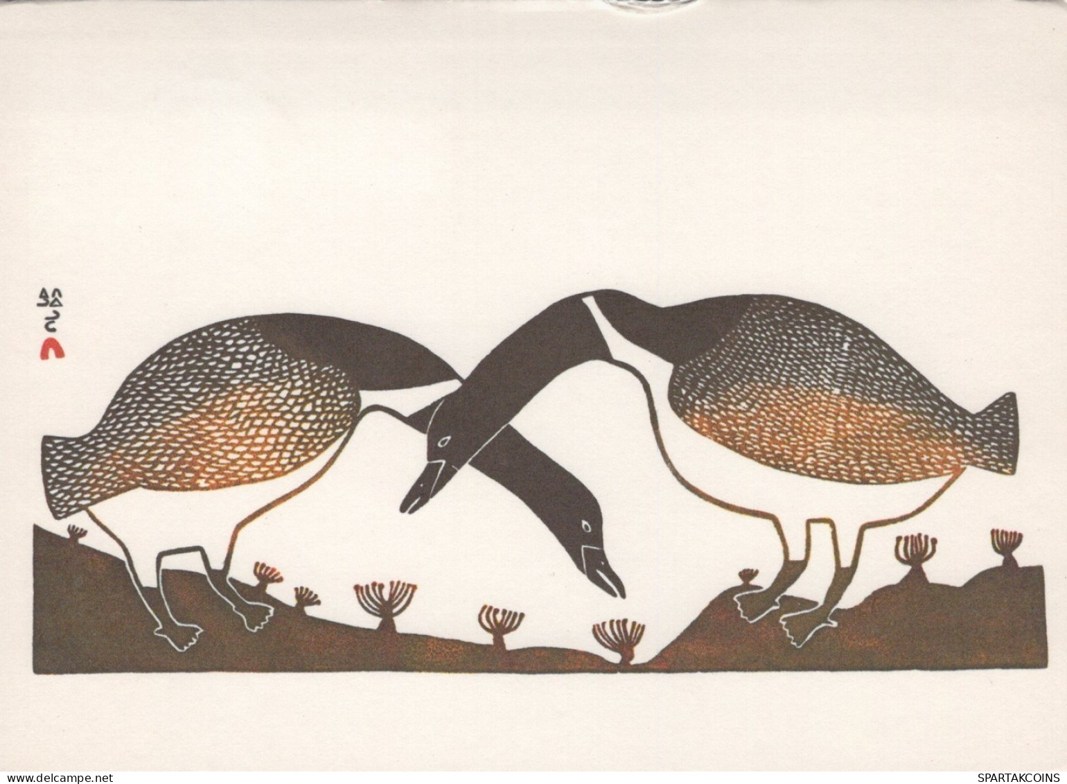 UCCELLO Animale Vintage Cartolina CPSM #PAN409.IT - Pájaros