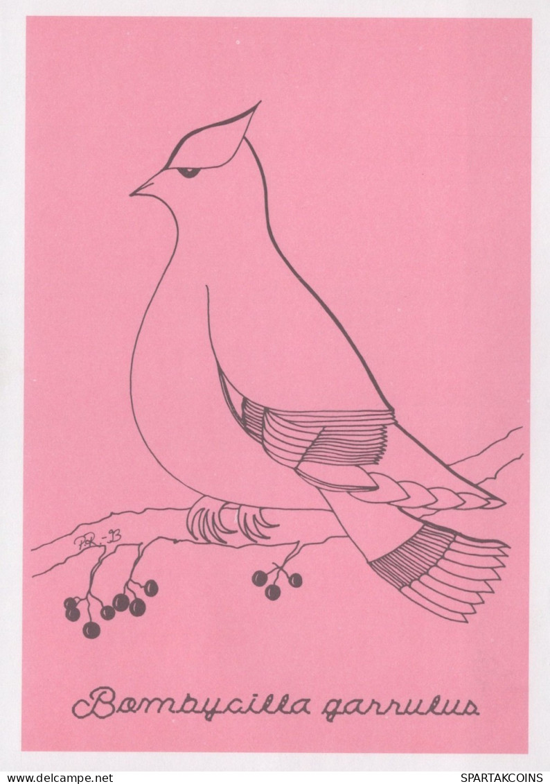UCCELLO Animale Vintage Cartolina CPSM #PAN161.IT - Pájaros
