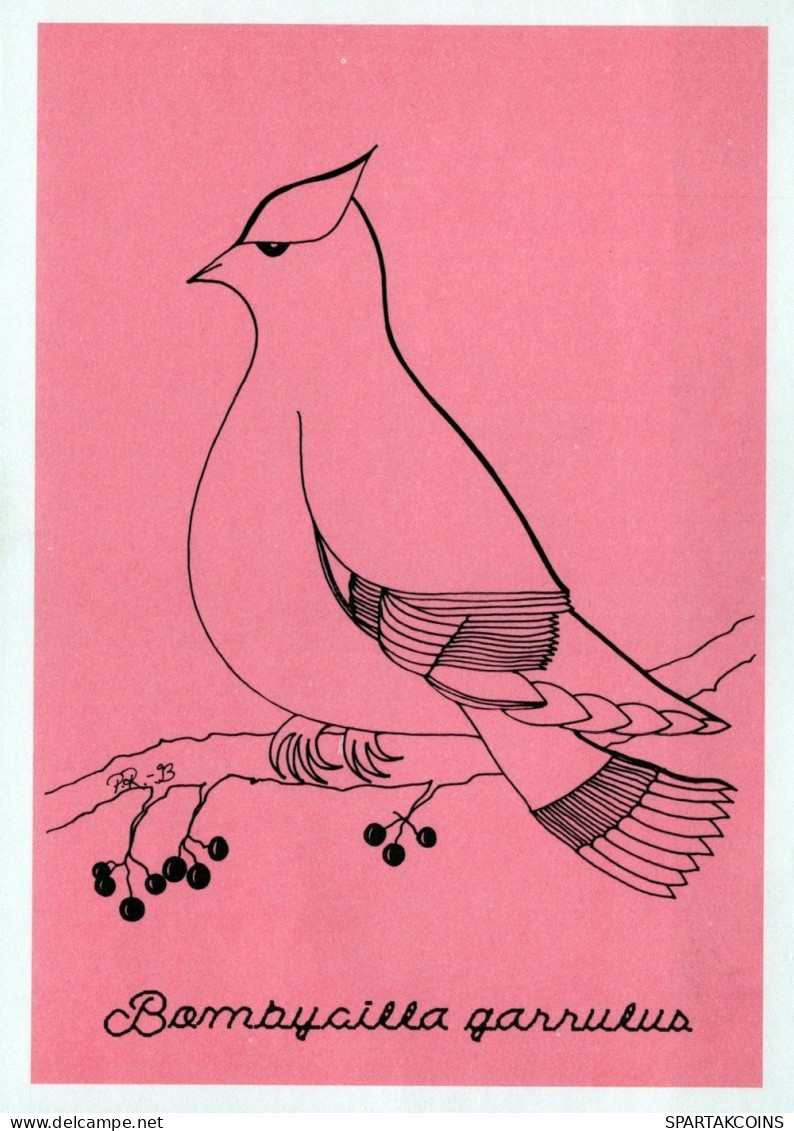 UCCELLO Animale Vintage Cartolina CPSM #PAN161.IT - Birds