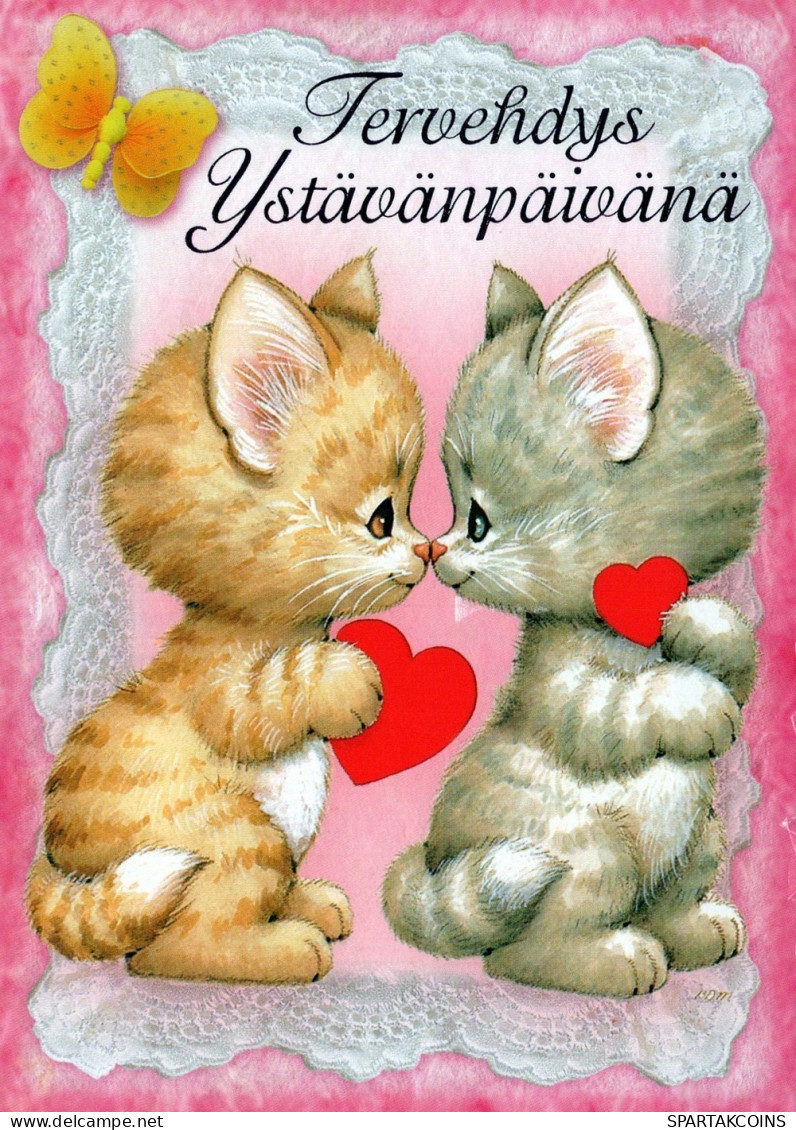 GATTO KITTY Animale Vintage Cartolina CPSM #PAM475.IT - Katzen