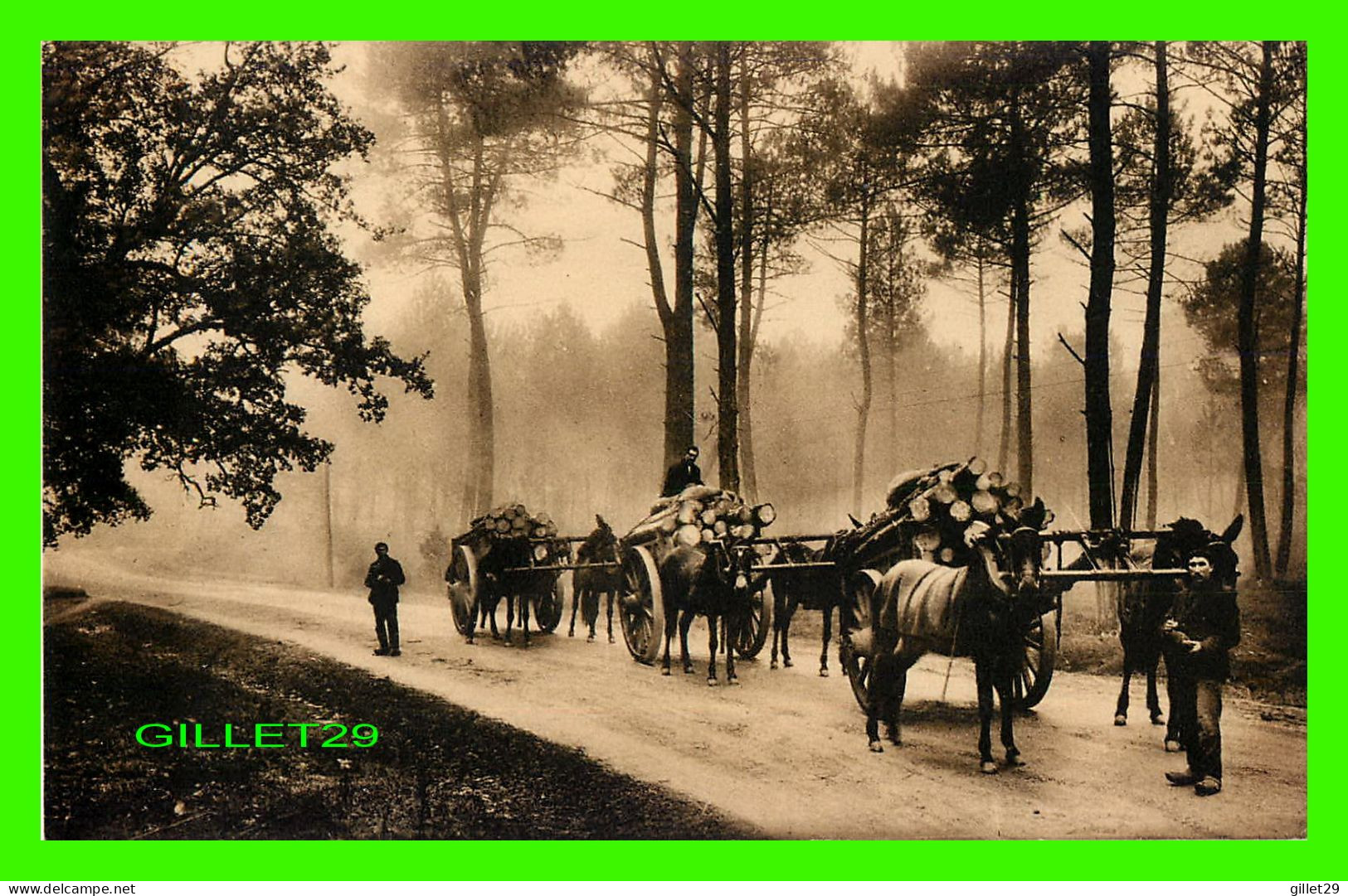 LANDES DE GASCOGNE (40) - EFFET DE BRUME DANS LA FORET - TRANSPORT DE BOIS - LES BROSS - M.D. - ÉCRITE - - Sonstige & Ohne Zuordnung