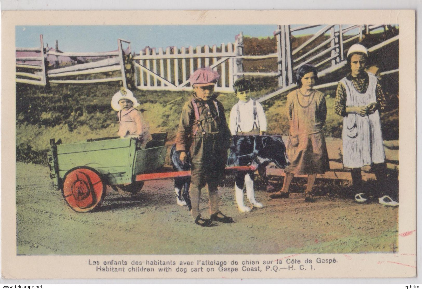 Les Enfants Des Habitants Avec L'Attelage De Chien Sur La Côte De Gaspé Dog Cart Charrette à Chien Québec Canada - Gaspé