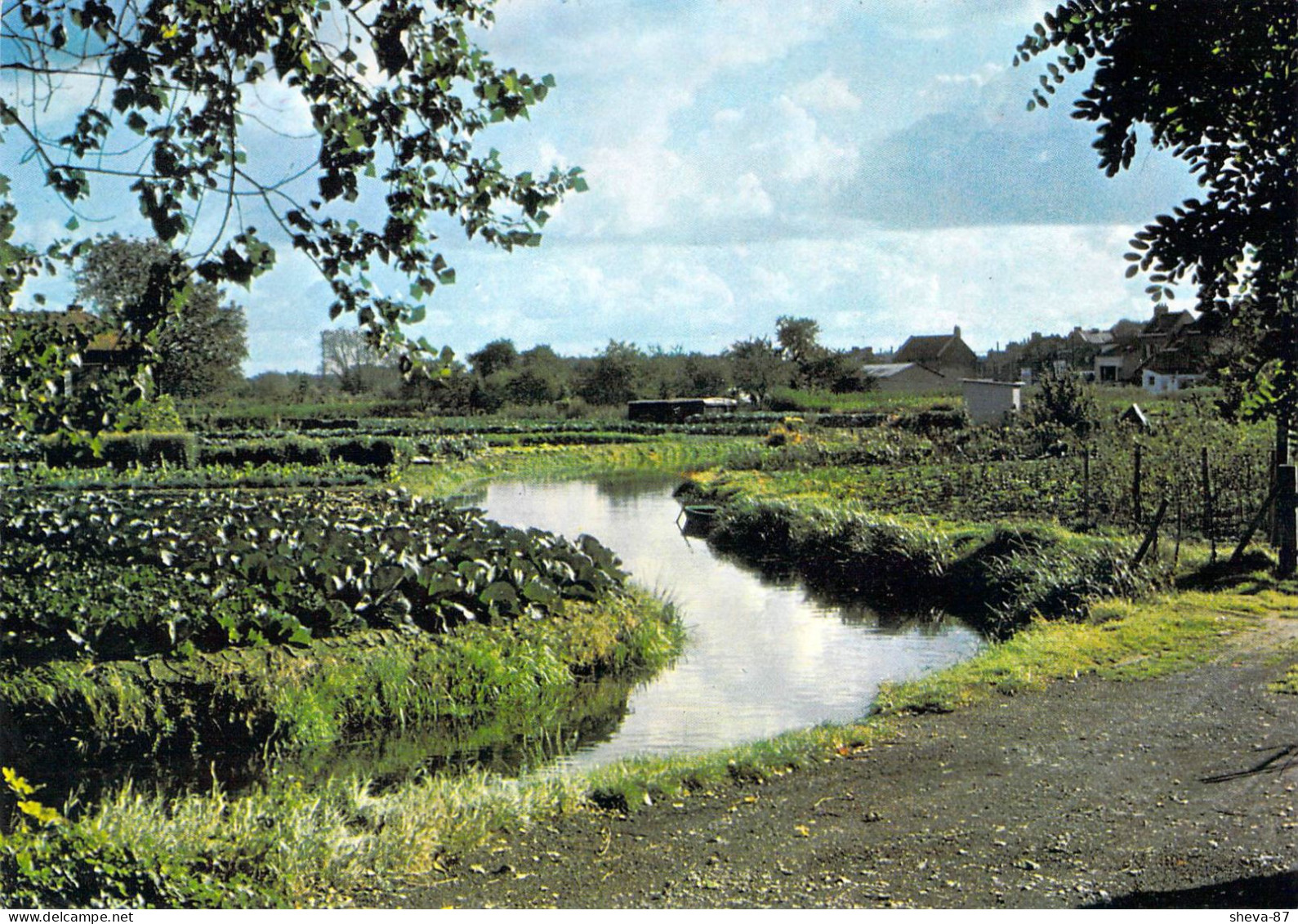 80 - Amiens - Les Hortillonnages - Amiens