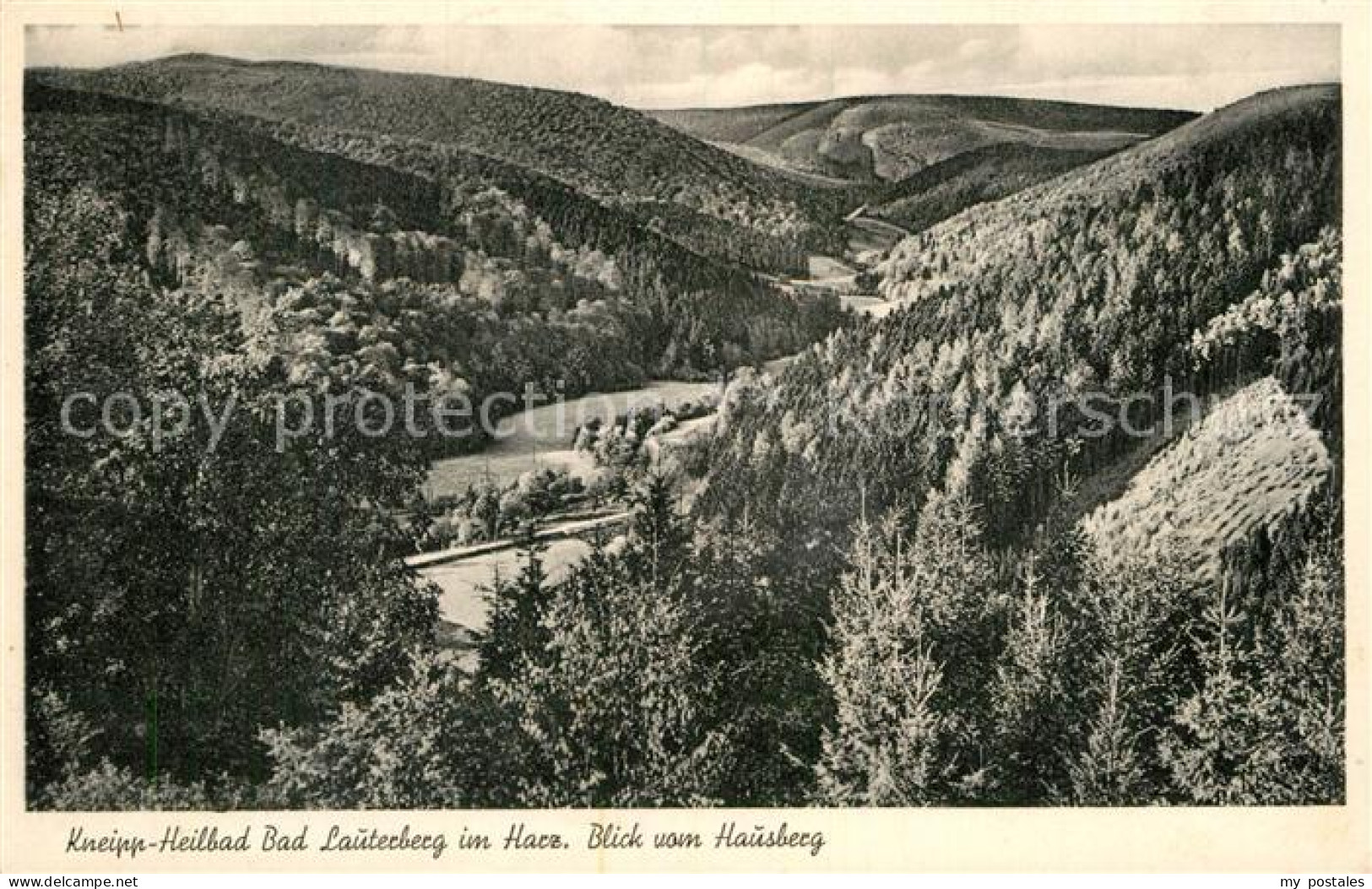 73016552 Bad Lauterberg Blick Vom Hausberg Bad Lauterberg - Bad Lauterberg