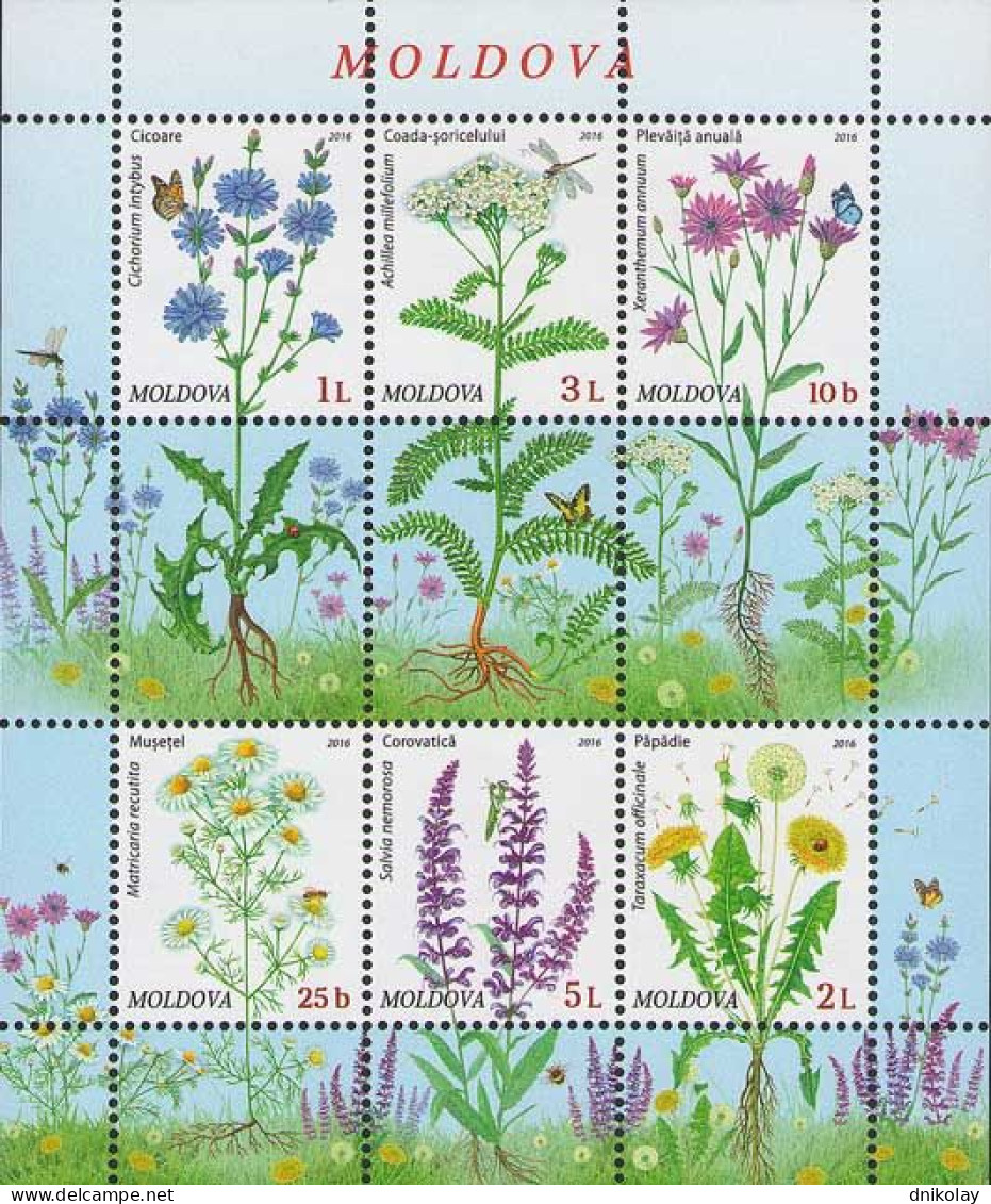 2016 957 Moldova Flora - Wild Flowers MNH - Moldavië