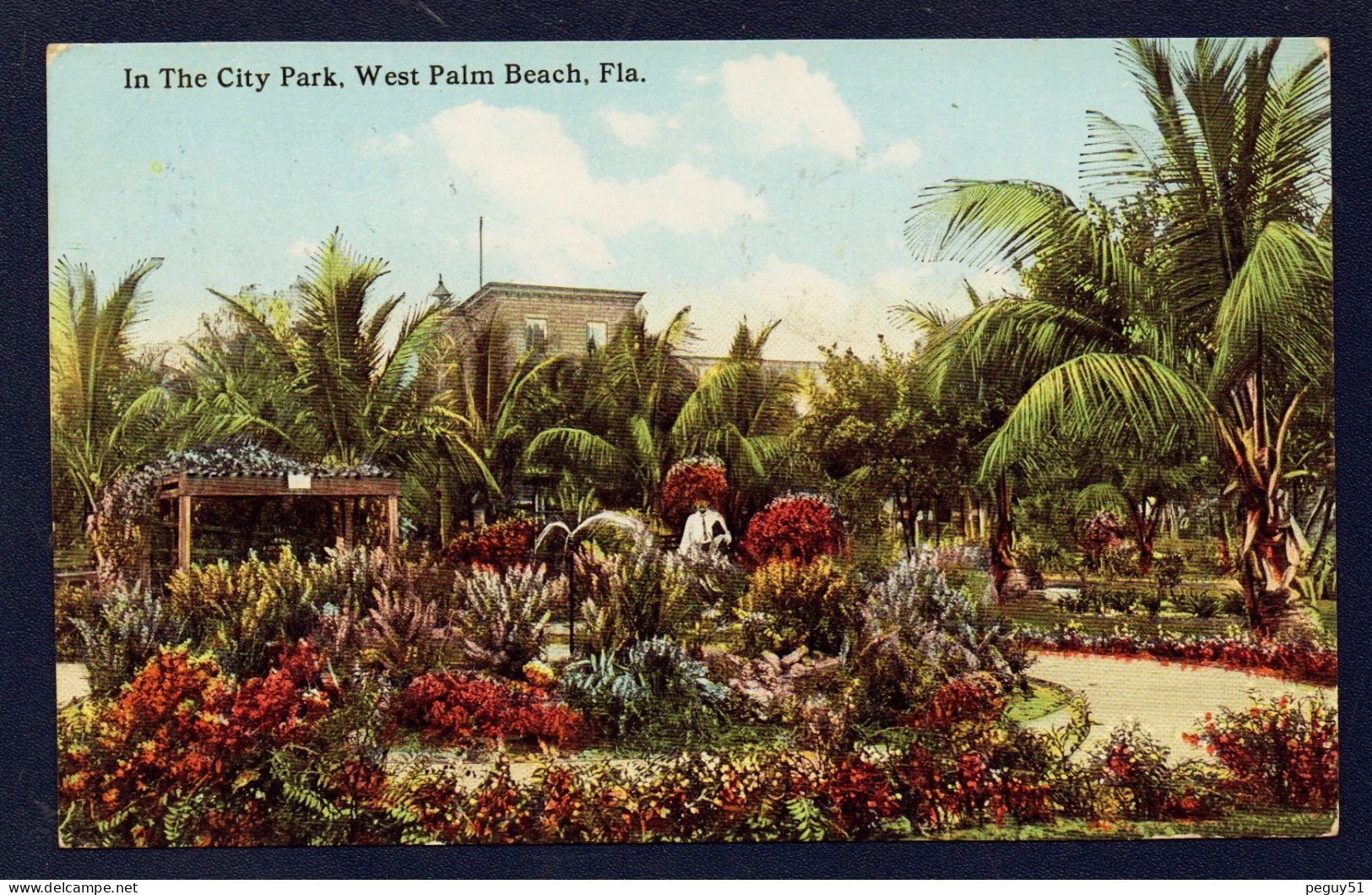 Florida. West Palm Beach. In The City Park. 1914 - Palm Beach