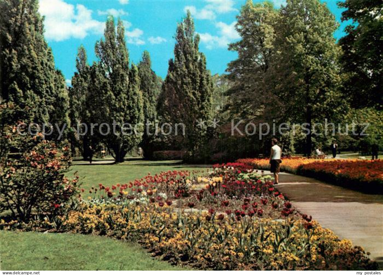 73012343 Krozingen Bad Kurpark Krozingen Bad - Bad Krozingen