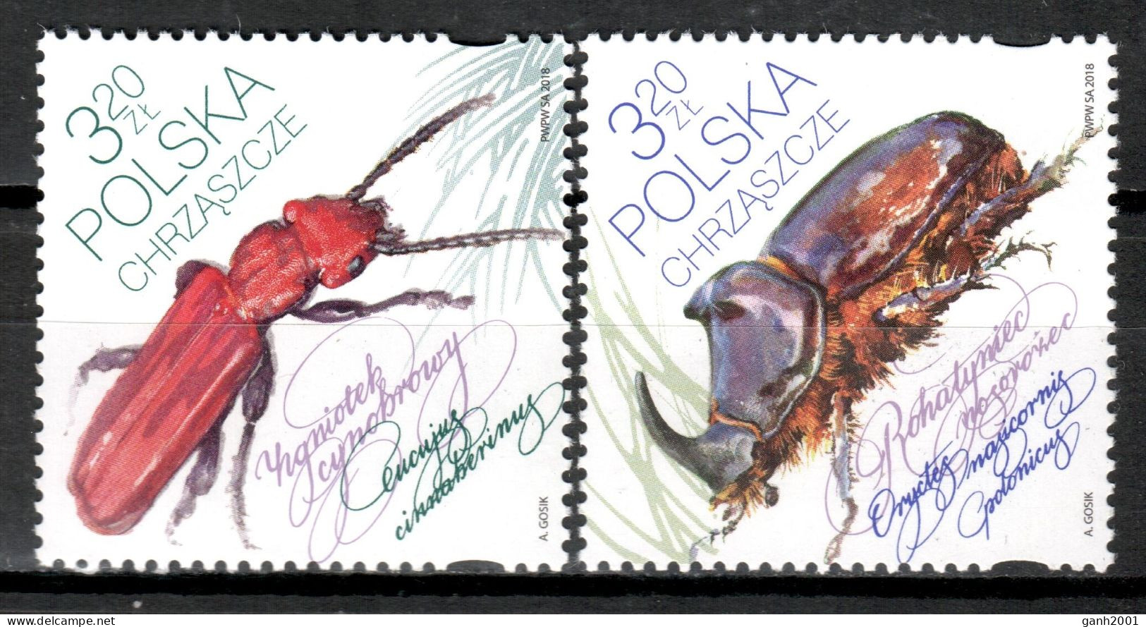 Poland 2018 Polonia / Insects Beetles MNH Insectos Escarabajos / Cu20254  18-43 - Andere & Zonder Classificatie