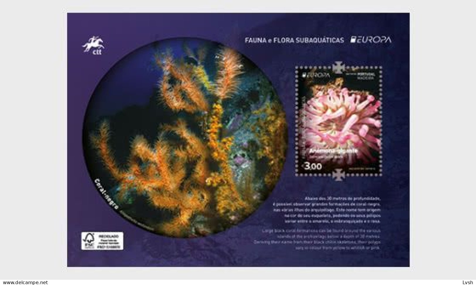 Portugal, Azores , Madeira.2024.Europa CEPT.Underwater Fauna And Flora.3 S/s ** . - 2024