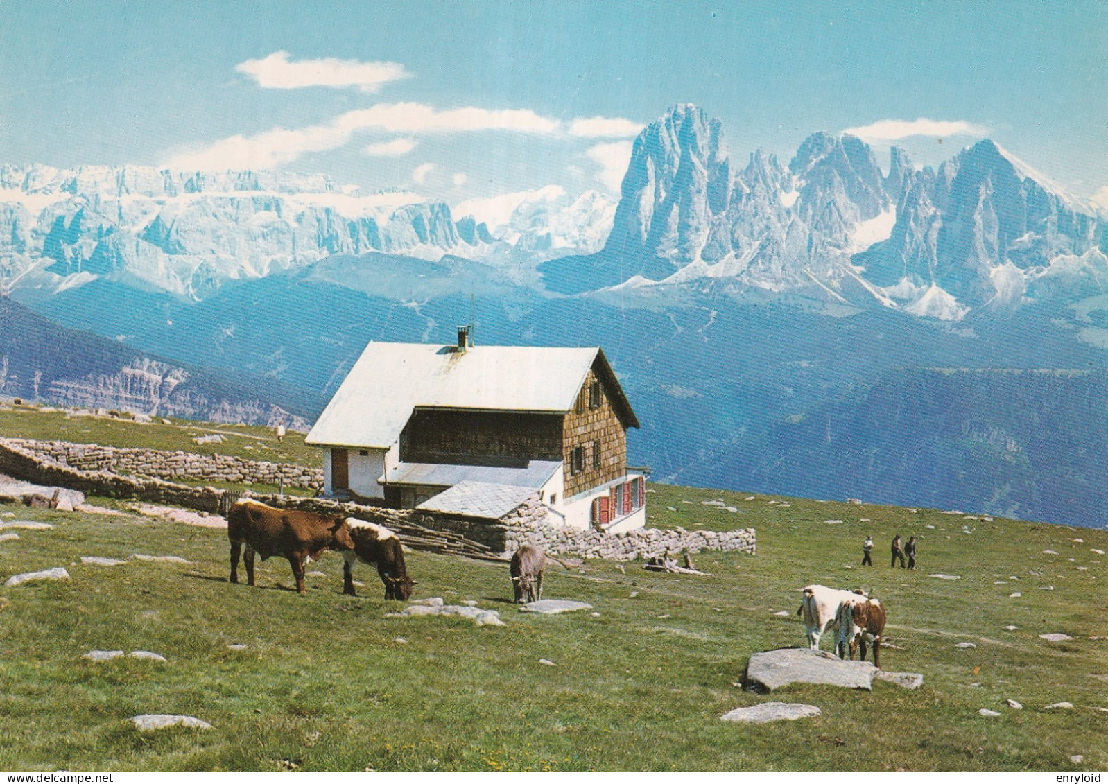 Val Gardena Dolomiti Rifugio Reisciesa - Autres & Non Classés