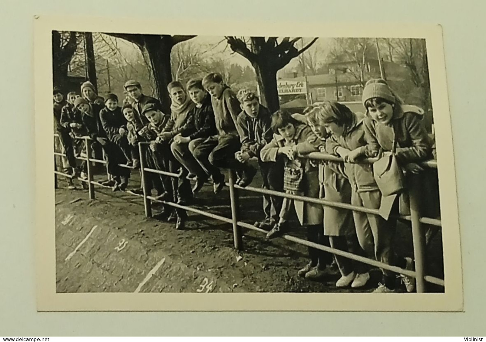 School Girls And Boys Lined Up On The Fence - Personas Anónimos