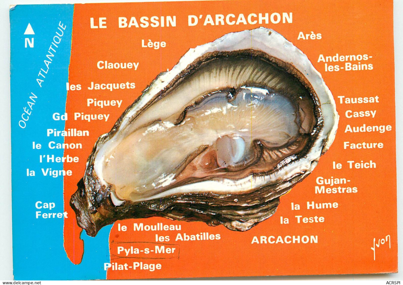 BASSIN D'ARCACHON  Promenade Autour De L'huitre SS 1343 - Arcachon
