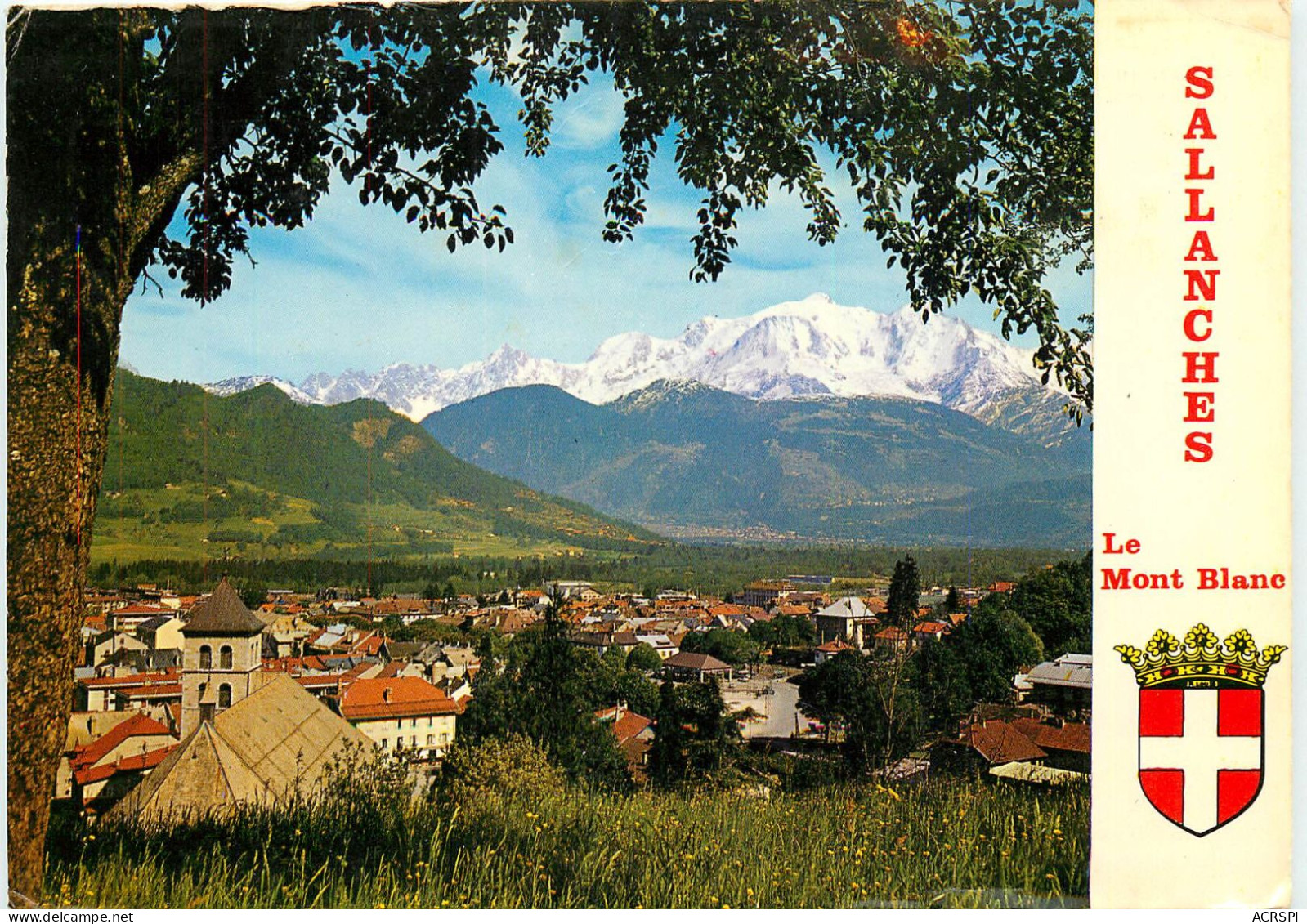 SALLANCHES Vue Générale Et échappée Sur Le Mont Blanc SS 1371 - Sallanches