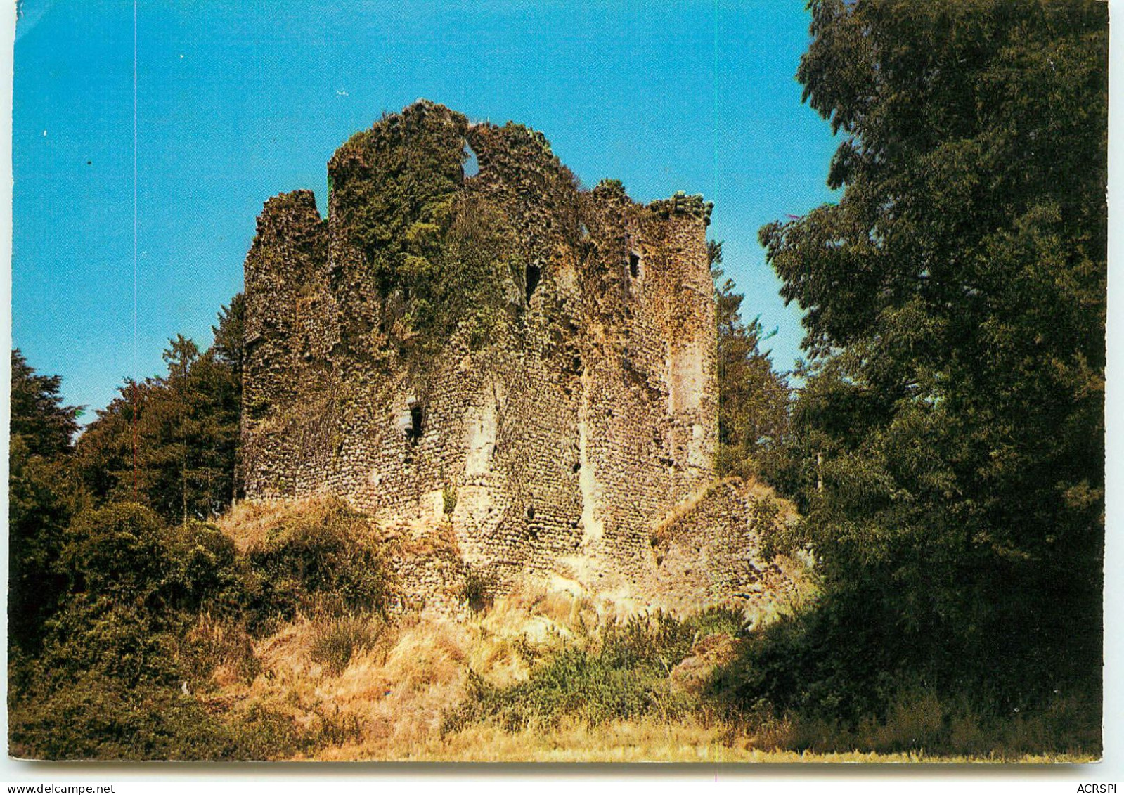 POUZAUGES Ruines De L'ancien Chateau  SS 1380 - Pouzauges