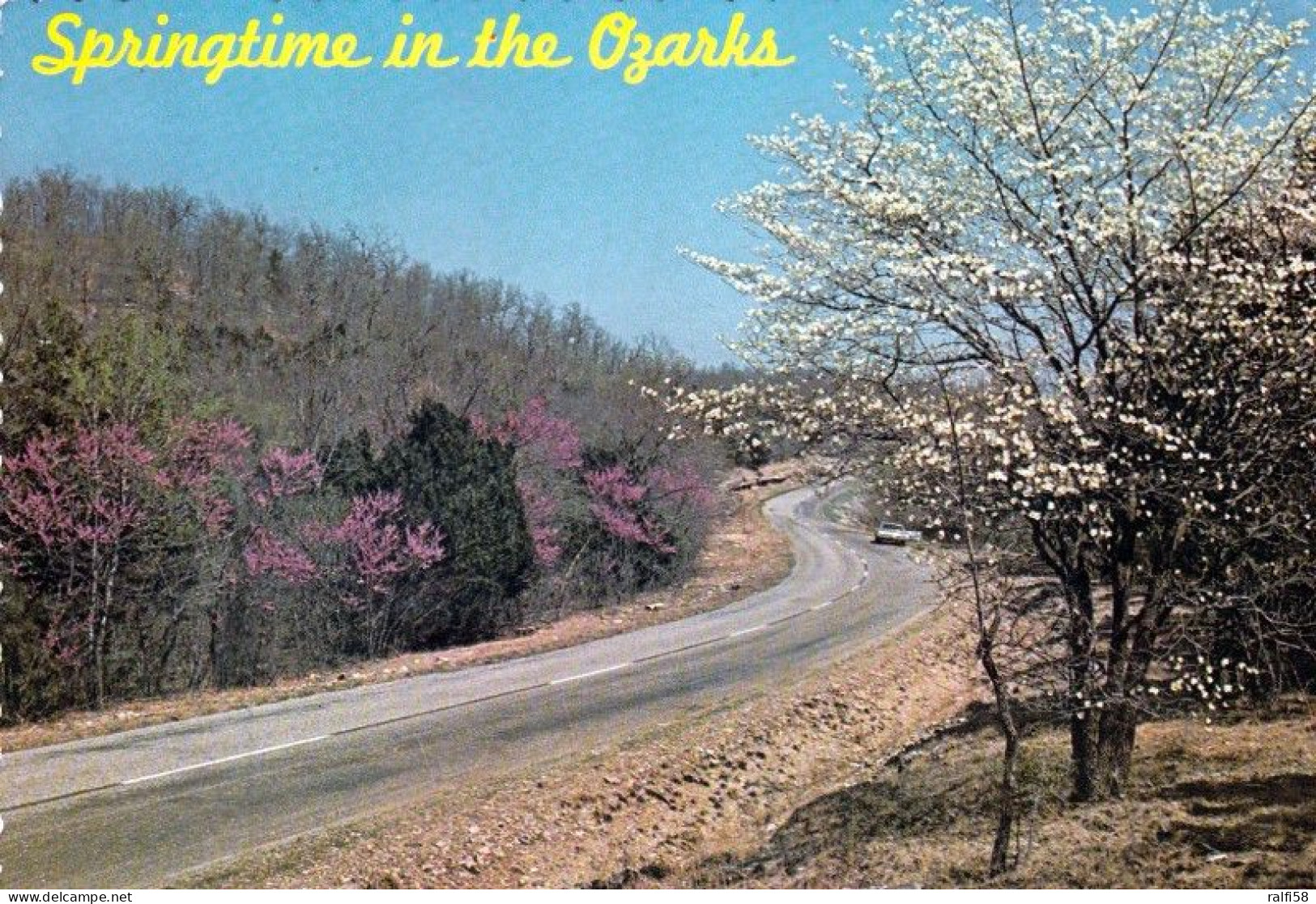 1 AK USA * Springtime In The Ozarks - Das Ozarks Plateau In Den Bundesstaaten Arkansas, Missouri, Oklahoma Und Kansas * - Sonstige & Ohne Zuordnung