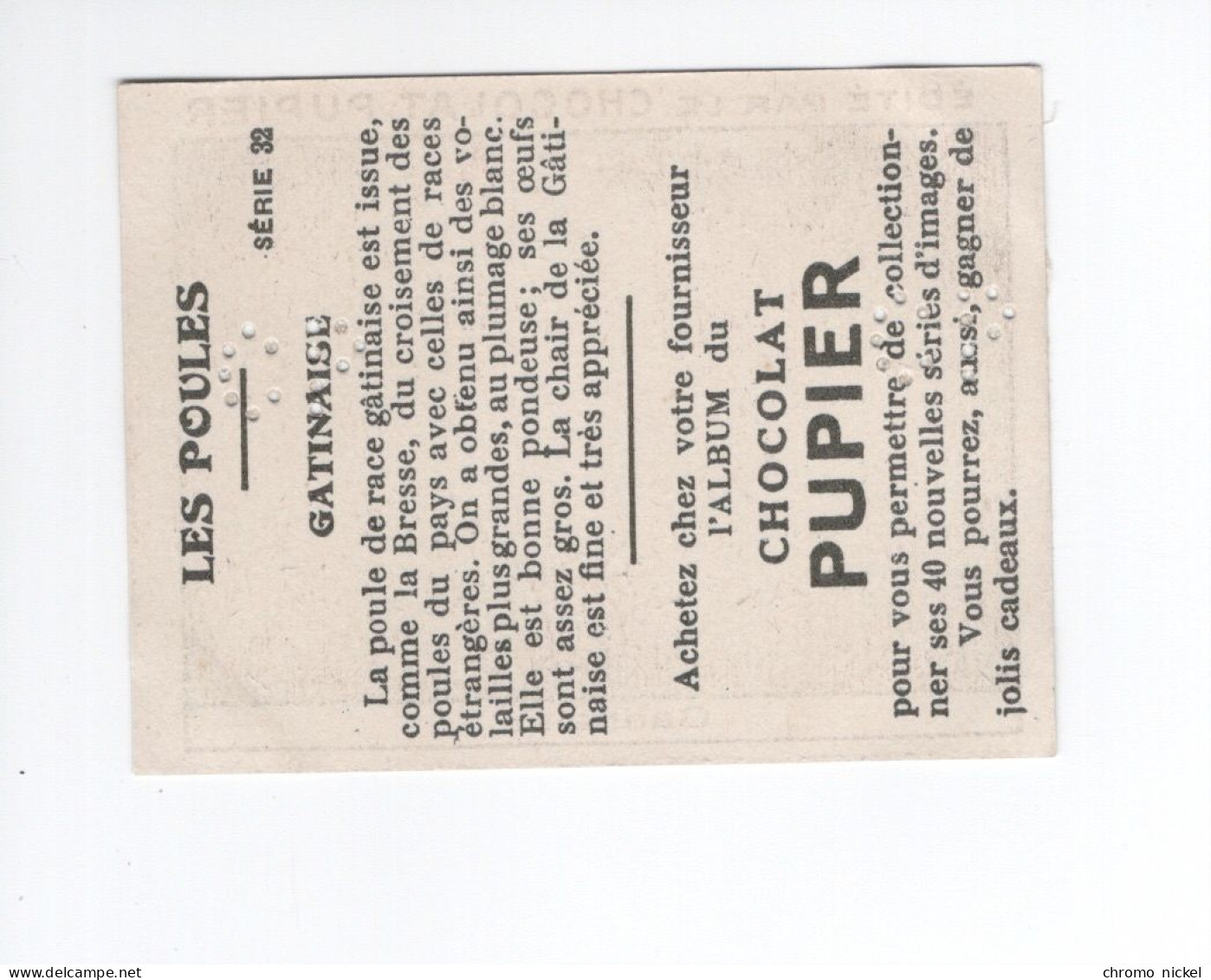 Chromo Poule Gatinaise  Didactique Au Dos  Pub: Chocolat Pupier 68 X 51 Mm  2 Scans - Otros & Sin Clasificación