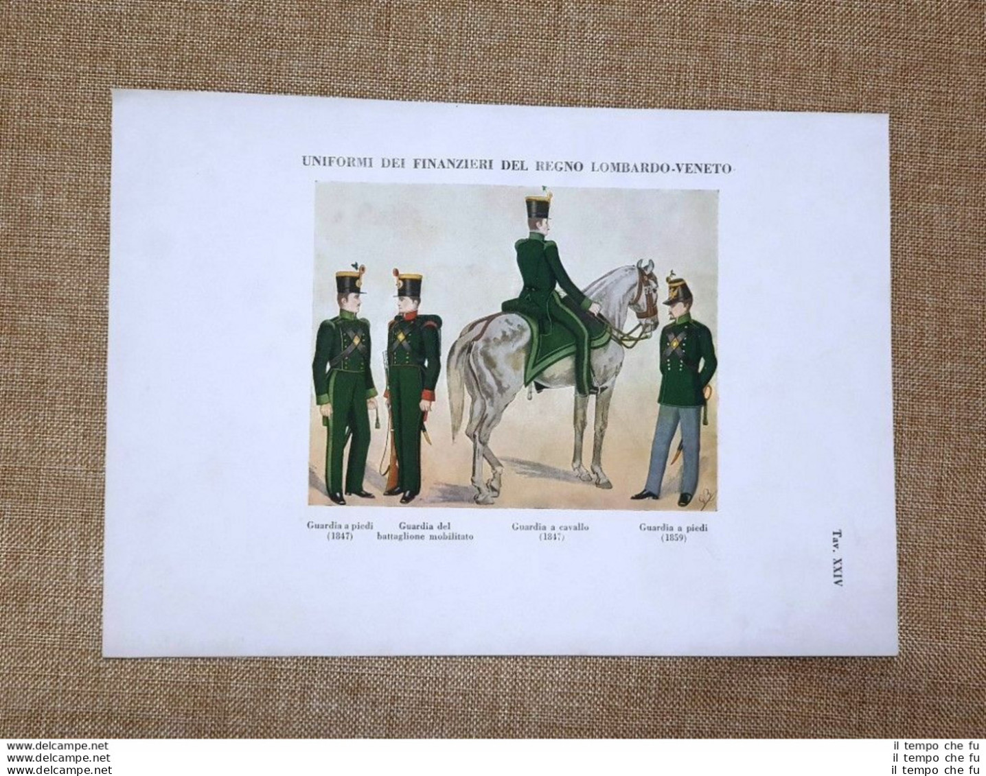 Uniformi Della Guardia Di Finanza Del Regno Lombardo-Veneto 1847 E 1859 - Otros & Sin Clasificación