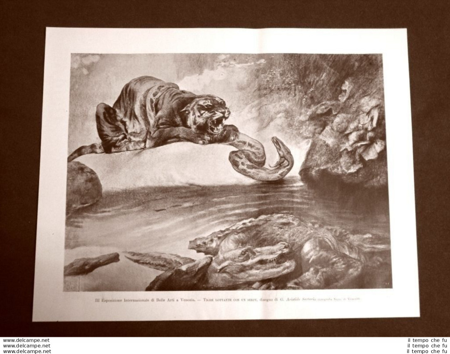 III Esposizione Arte Di Venezia Nel 1899 Tigre Vs Serpente Disegno Di Sartorio - Vor 1900