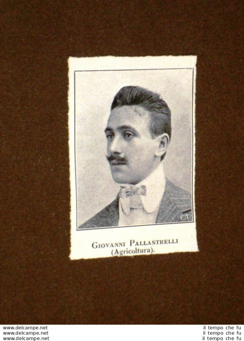 Sottosegretario All'agricoltura Nel 1920 Giovanni Pallastrelli - Andere & Zonder Classificatie