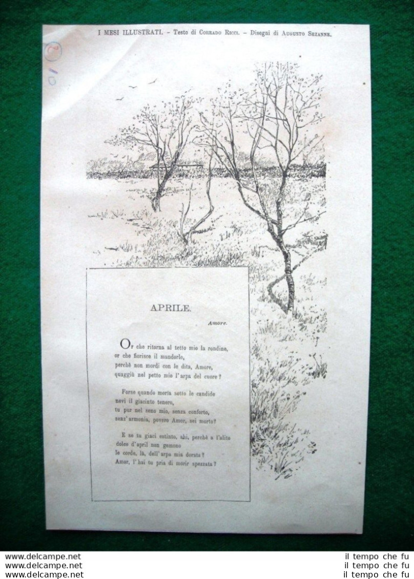 1882 - I Mesi Illustrati, Aprile E Maggio Di C. Ricci E Disegni Di A. Sezanne - Avant 1900