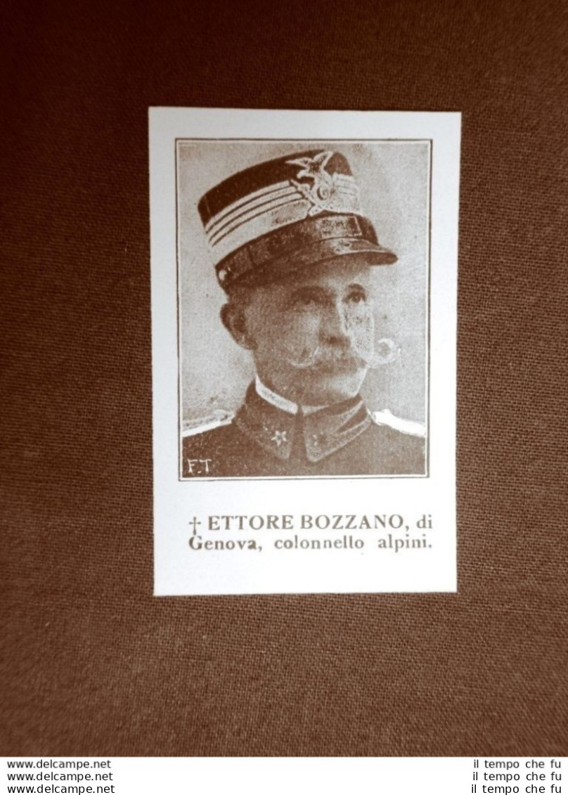 WW1 Prima Guerra Mondiale 1914-1918 Caduto Ettore Bozzano Di Genova Alpino - Sonstige & Ohne Zuordnung