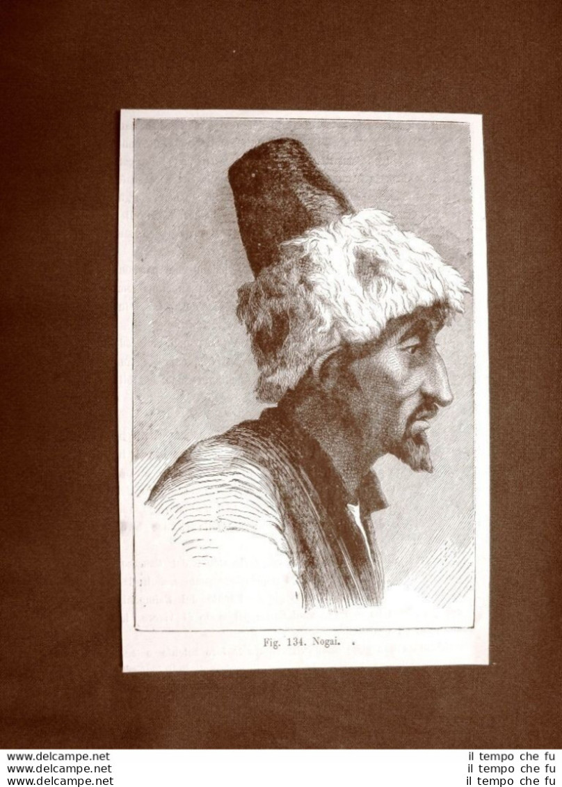 Uomo Nogai Nel 1883 Mongoli Caucasici Caucaso Moda Costume - Ante 1900