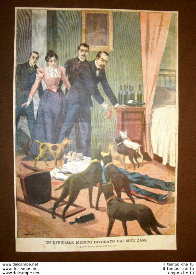 Retrocopertina Tribuna Illustrata 1900 Ufficiale Medico Divorato Dai Suoi Cani - Autres & Non Classés