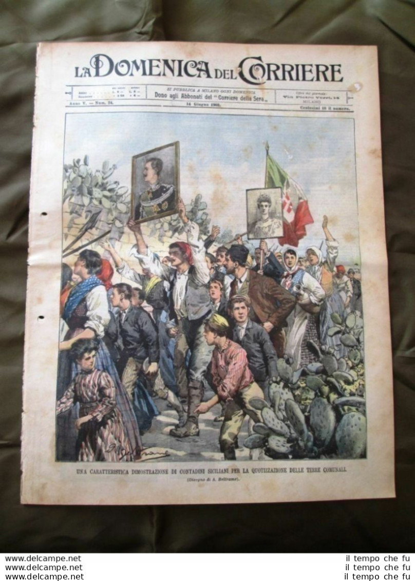 La Domenica Del Corriere 14 Giugno 1903 Contadini Di Sicilia Pompieri Finanza - Other & Unclassified