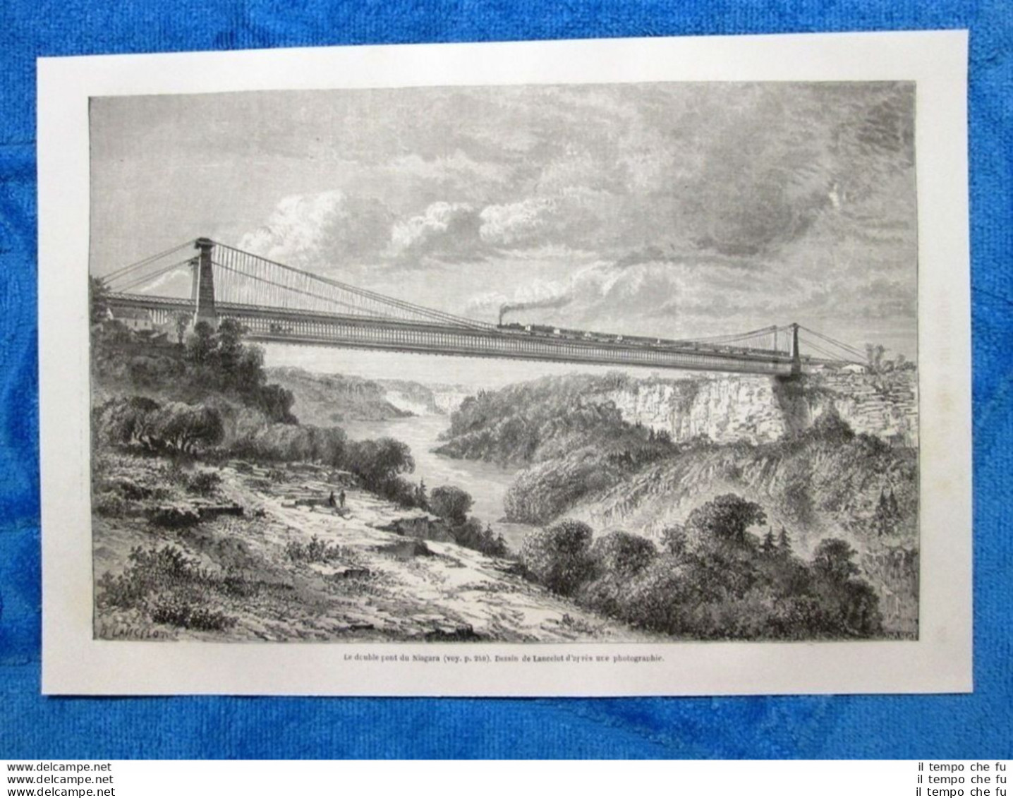 Gravure Année 1861 - L'aigle à Tète Blanche - L'aquila Dalla Testa Bianca - Before 1900