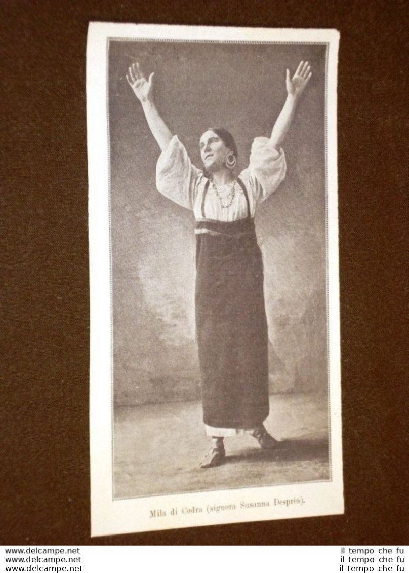 Il Teatro Nel 1905 Attrice Mila Di Codra (Signora Susanna Desprès) - Other & Unclassified