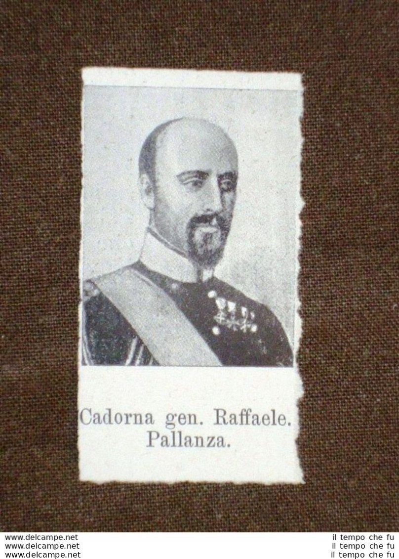 Deputato Del 1° Parlamento D'Italia 1861 Generale Raffaele Cadorna Di Pallanza - Other & Unclassified