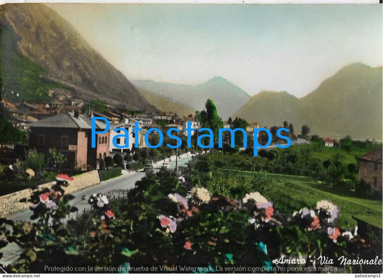 228660 ITALY AMARO CARNIA VIA NAZIONALE POSTAL POSTCARD - Autres & Non Classés