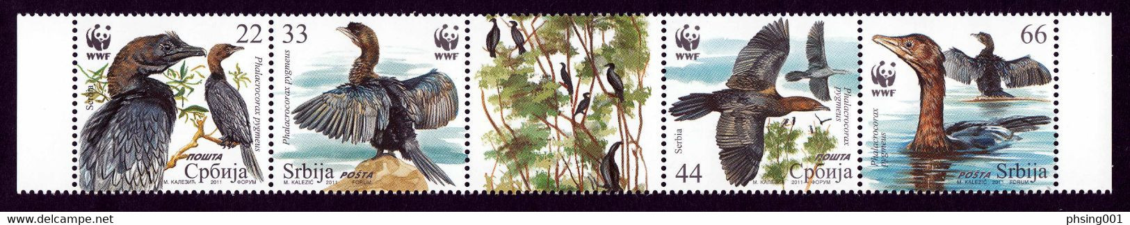 Serbia 2011 WWF Fauna Birds Cormorant Phalacrocorax Pygmaeus, Set With Label In Strip MNH - Sonstige & Ohne Zuordnung