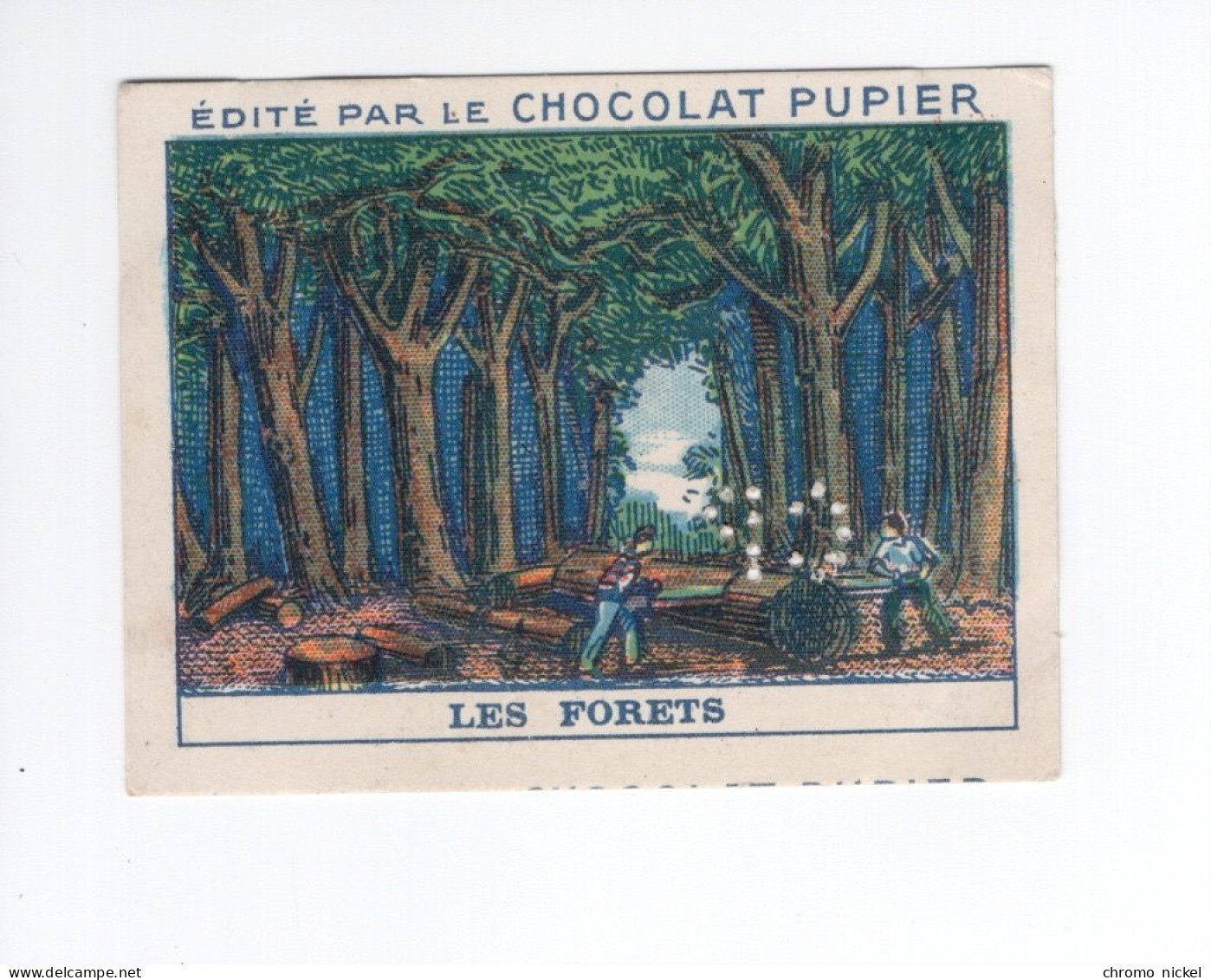 Chromo Campagne Les Forets Didactique Au Dos  Pub: Chocolat Pupier 68 X 51 Mm  2 Scans - Other & Unclassified
