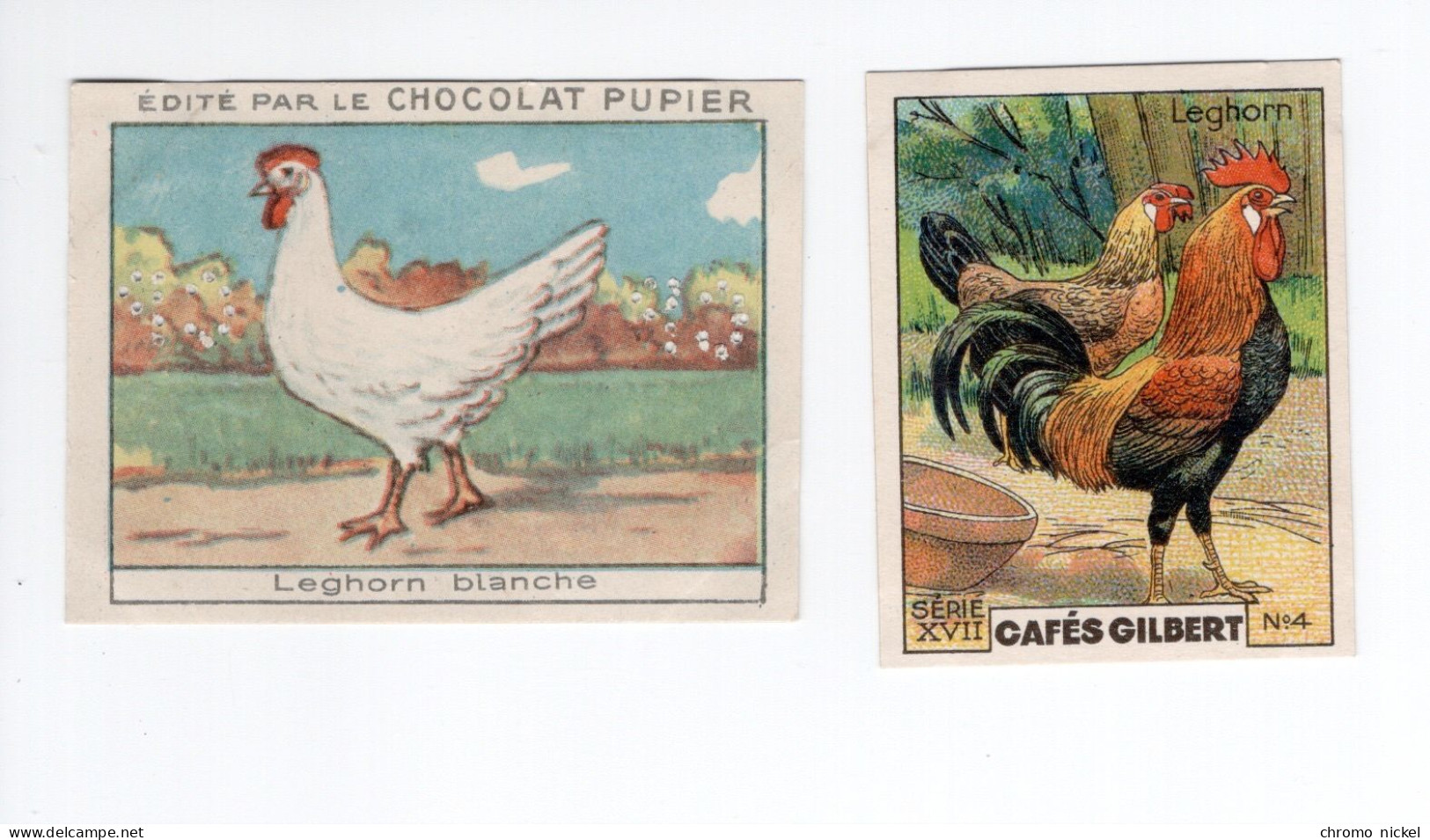 Chromo Poules LEGHORN Pub: Chocolat Pupier  68 X 51 Mm Et Cafés Gilbert  2 Scans - Andere & Zonder Classificatie