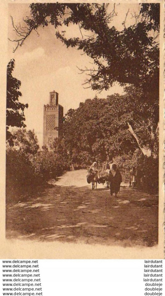 ALGERIE  Le Minaret D'Agadir ( Ou Aghadir ) - Sonstige & Ohne Zuordnung