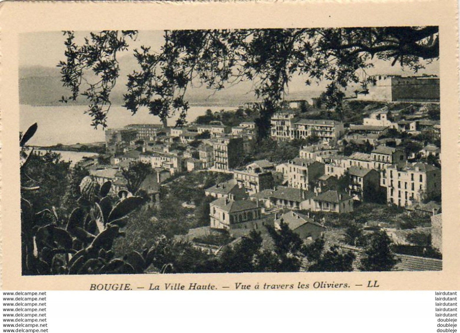 ALGERIE  BOUGIE  La Ville Haute. Vue à Travers Les Oliviers  ..... ( Ref FA401 ) - Bejaia (Bougie)