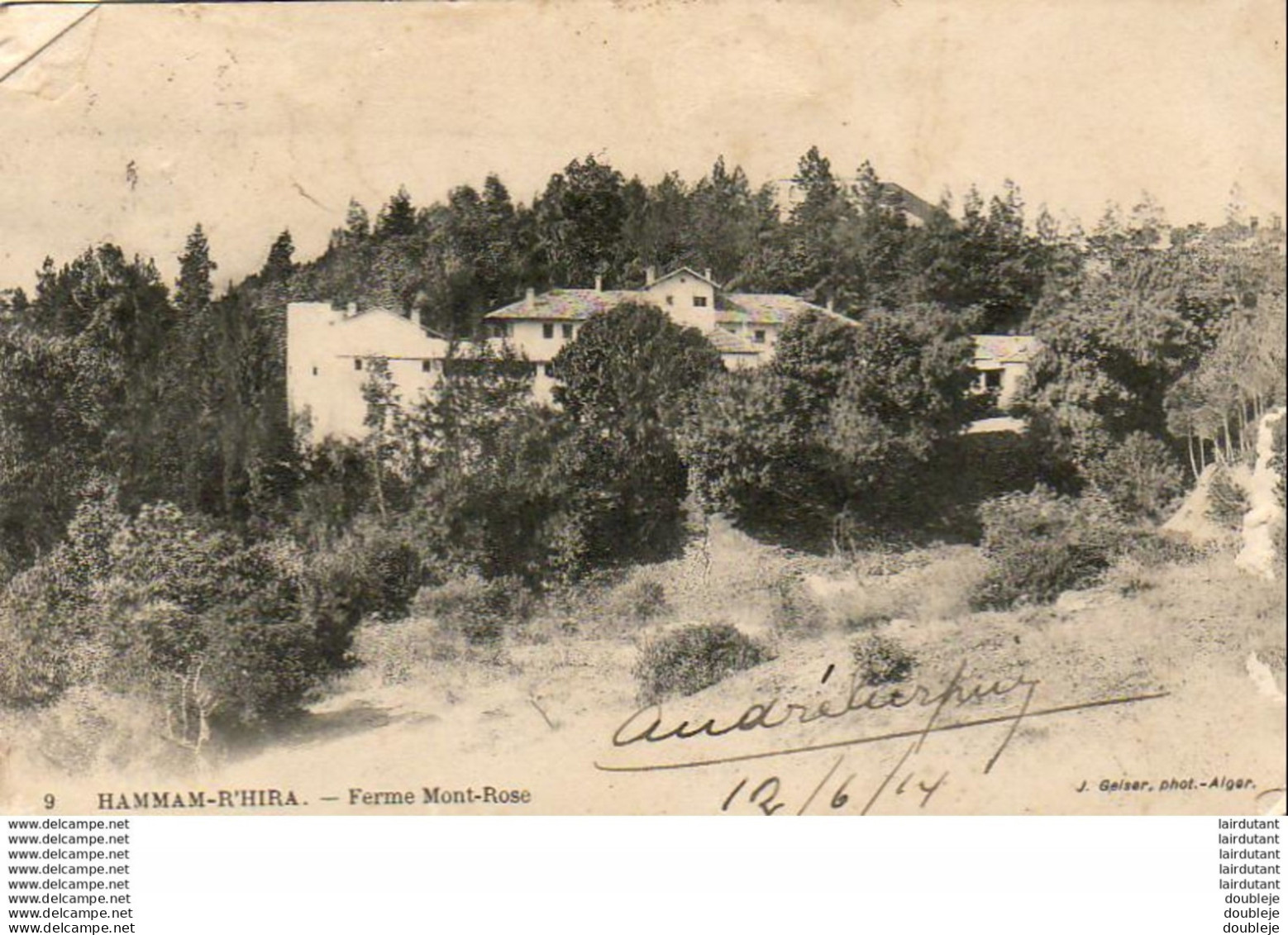 ALGERIE  HAMMAM-R'HIRA  Ferme Mont-Rose ( 2?choix )  ...... ( Ref FA1042 ) - Other & Unclassified