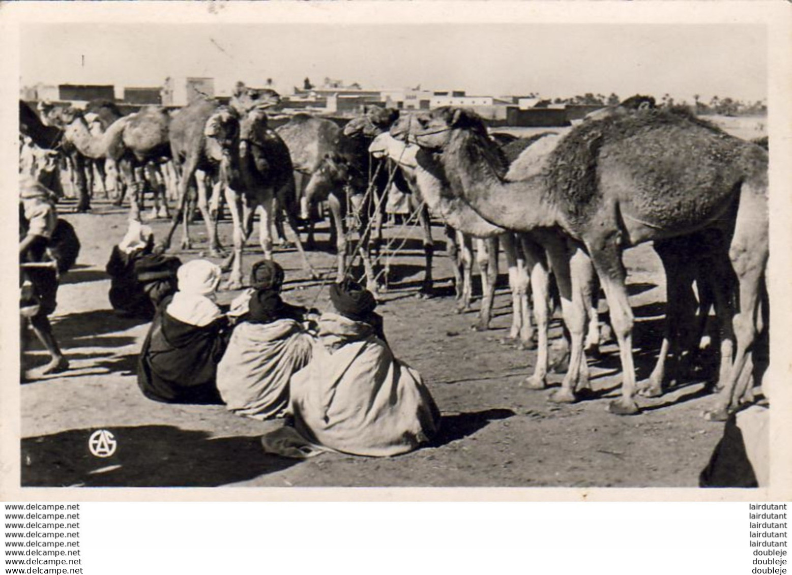 ALGERIE  SCENES ET TYPES  Les Souks: Le Marché Aux Chameaux  ..... ( Ref FA1395 ) - Szenen