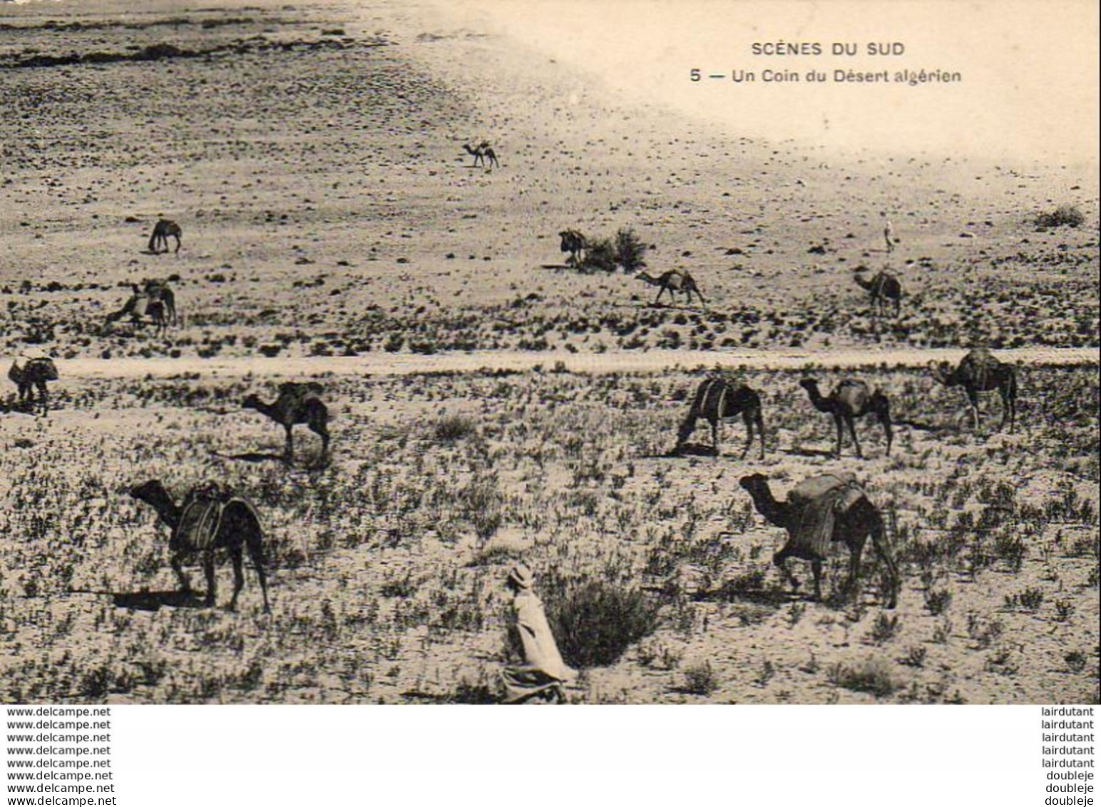 ALGERIE  SCENES ET TYPES  Un Coin Du Désert Algérien  ..... ( Ref FA1520 ) - Scènes & Types