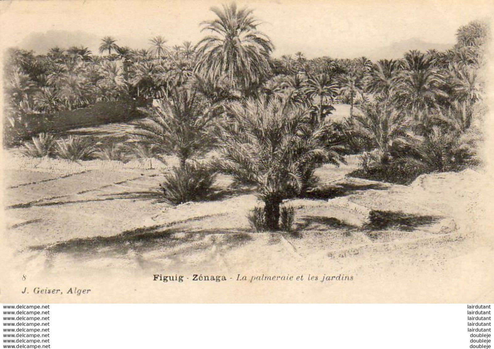 ALGERIE  FIGUIG   ZENAGA La Palmeraie Et Les Jardins - Andere & Zonder Classificatie